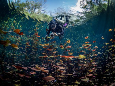 Cenote Carwash