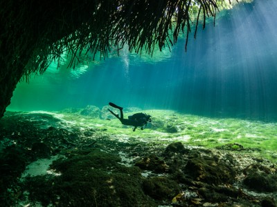 Casa Cenote y dos ojos