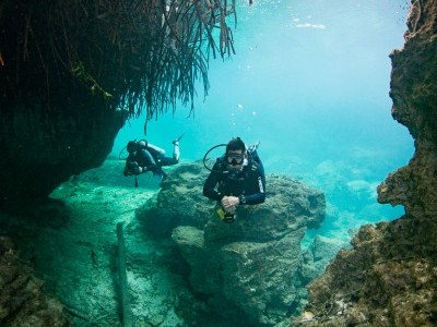 Casa Cenote / Dos Djos
