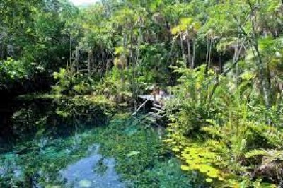 Cenote Nite H