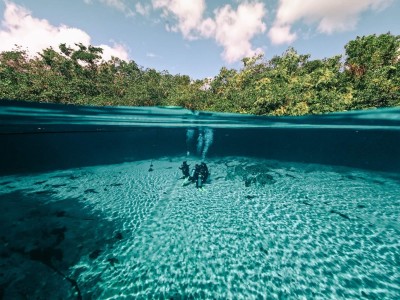 SSI Scuba Diver