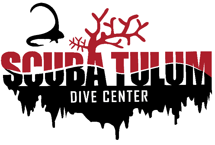 scuba diving tours tulum